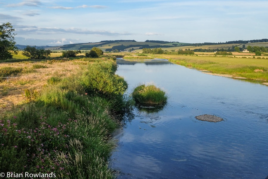 River Teviot looking East-2455