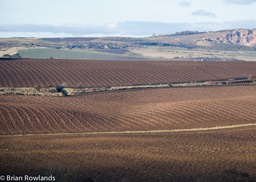 East Neuk 2012 #2