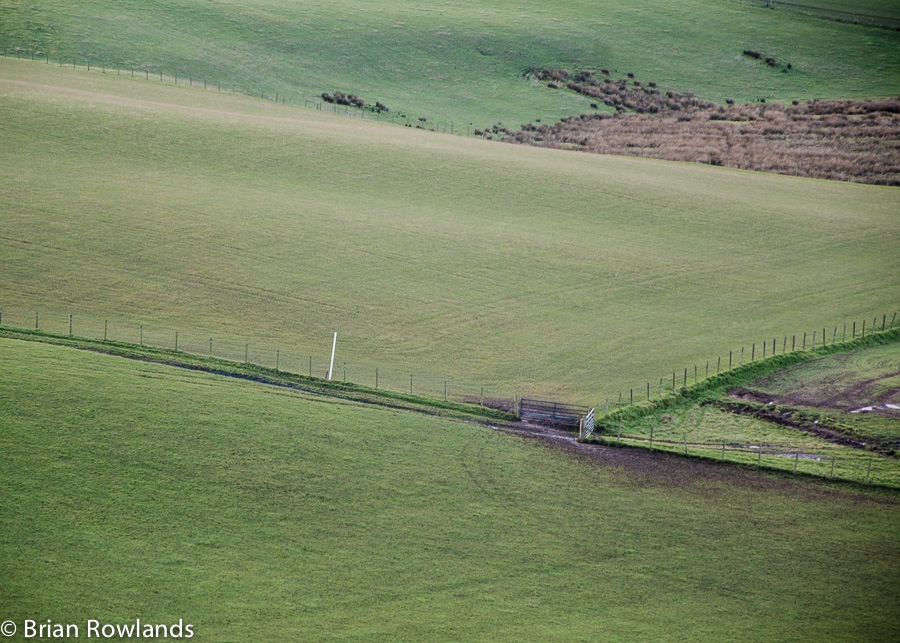 East Neuk 2012#8