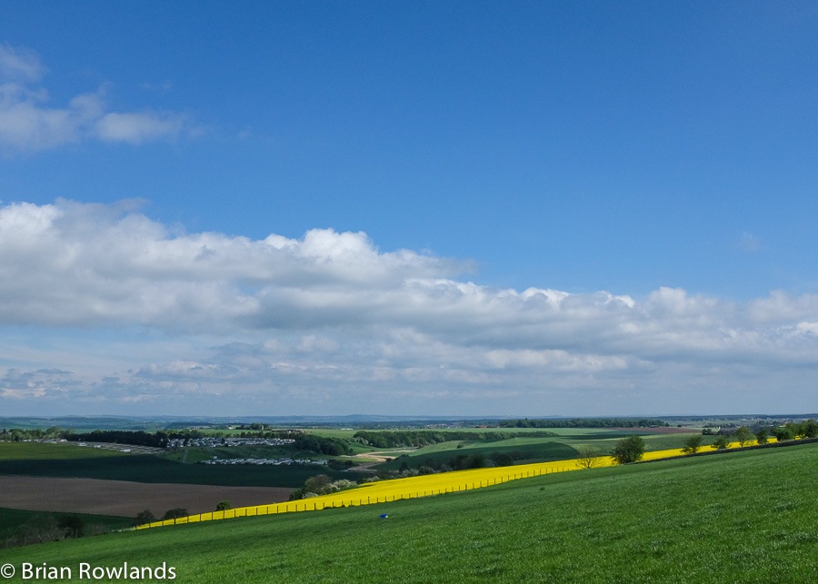 Fife 2014-Yellow streak-1132