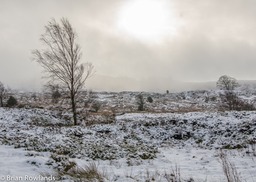 Winter Moor-2