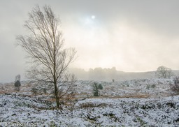 Winter Moor-4